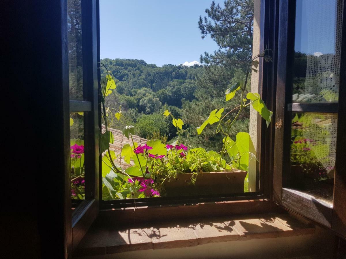 Agriturismo Santa Giusta Poggio San Lorenzo 外观 照片